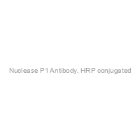 Nuclease P1 Antibody, HRP conjugated